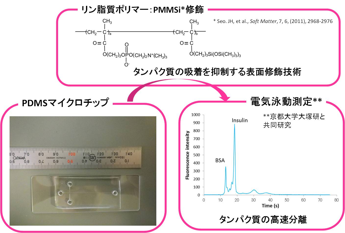 電気泳動チップ マイクロ流路 マイクロリアクター dna抽出試薬など遺伝子検査や生化学実験 のツールを開発しているbiocosm バイオコズム